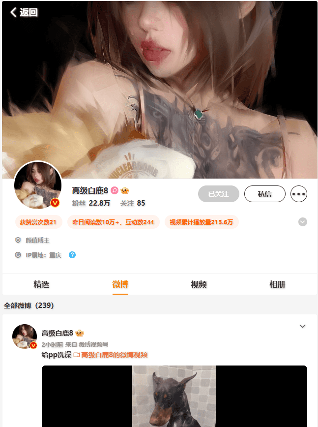 高级白鹿8 微博网址