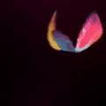 BJ哈妮妮（BJ하니니）直播间网址